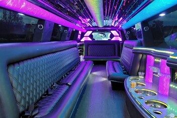 Goodyear Limo Interior